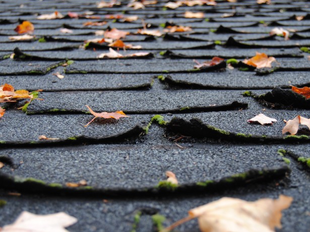 curling asphalt shingles